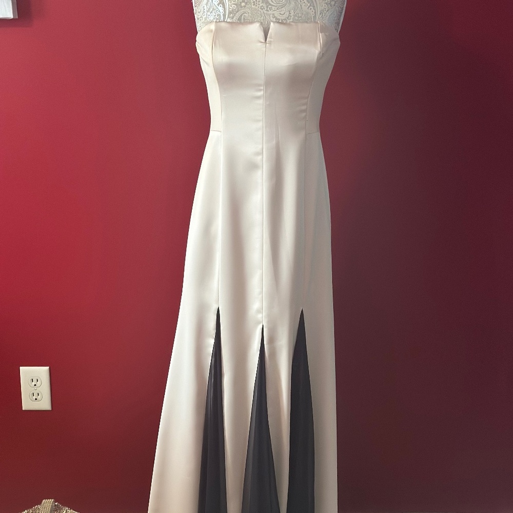 Halston Heritage Gorgeous Gown